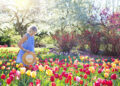 Unlock the Secrets of Water Conservation in Gardening: Tips for a Thriving Garden