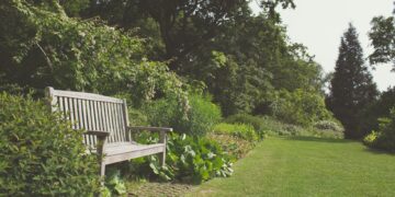 Unlocking the Secrets of Resource-Efficient Gardening: A Beginner’s Guide