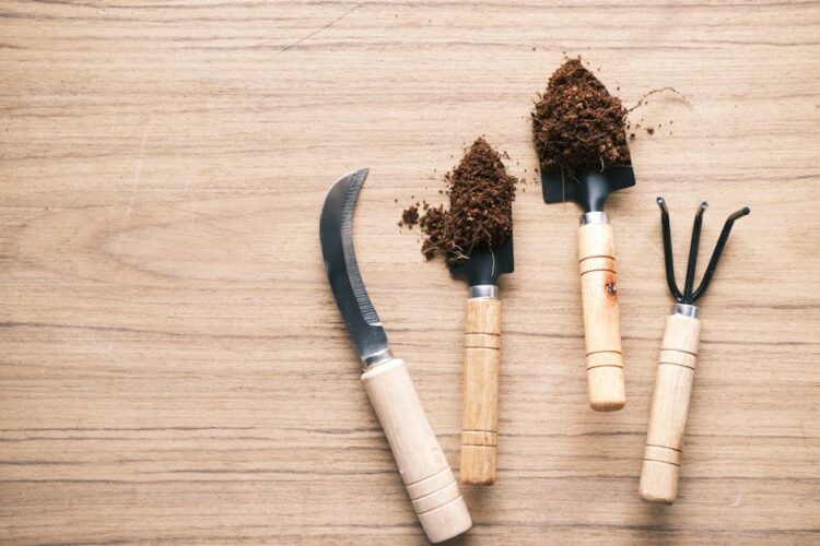 Unlock the Magic of Spades: Essential Tips for Every Gardener