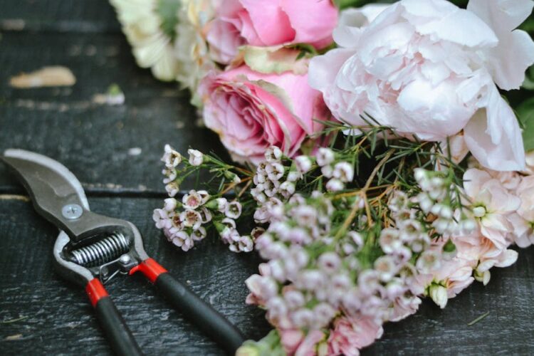 Revamp Your Garden with These Essential Tool Kits