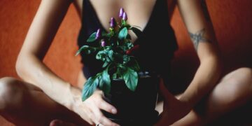 Sandy Soil Gardening: Tips for Boosting Plant Health