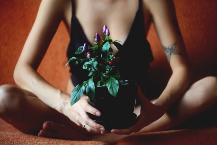 Sandy Soil Gardening: Tips for Boosting Plant Health