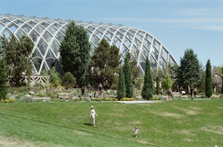 Low-Impact Gardening Techniques for Urban Spaces: Create Your Eco-Friendly Oasis