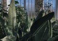Embracing a Greener Thumb: Tips for Environmentally Conscious Gardening