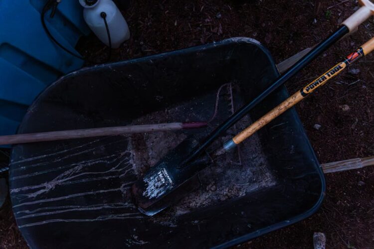Choosing the Best Garden Hose for Your Landscaping Needs