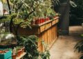 Sustainable Gardening: The Key to Eco-Friendly Living