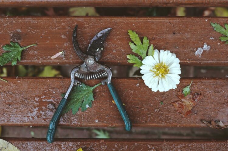 Revolutionize Your Gardening: How Soil Tools Can Boost Your Garden's Health