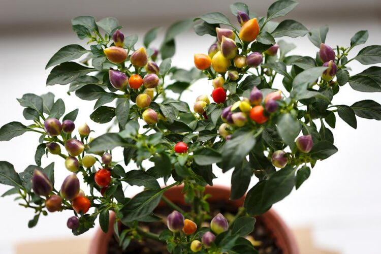 Sustainable Methods for Plant Pest Control: Safe Solutions for Your Garden