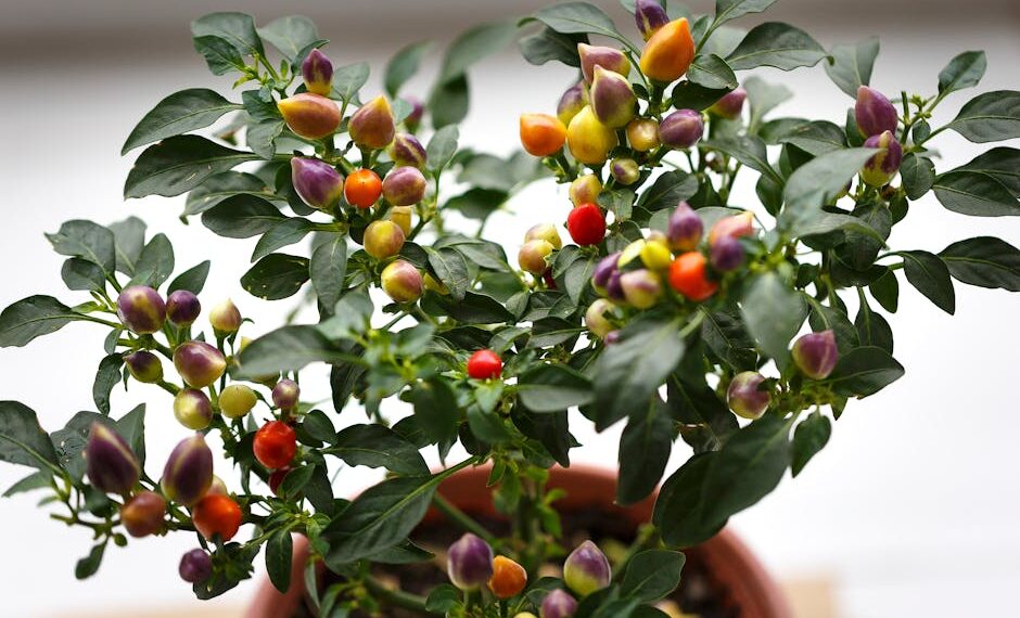 Sustainable Methods for Plant Pest Control: Safe Solutions for Your Garden