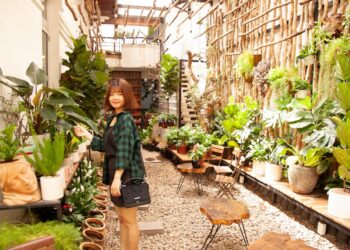 Maximize Your Space: Creative Ideas for Your Indoor Herb Garden