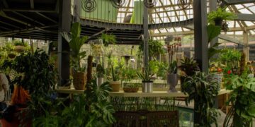 Unlock the Secrets to Thriving Plants with Essential Indoor Gardening Supplies