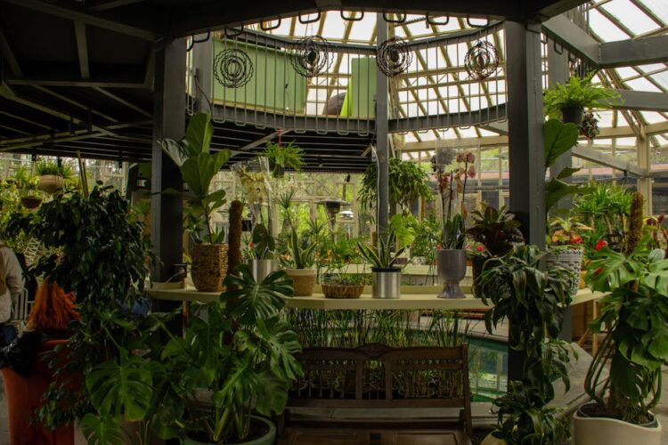 Unlock the Secrets to Thriving Plants with Essential Indoor Gardening Supplies