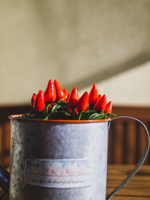 Fall Focus: Preparing Your Plants with Expert Seasonal Care Advice