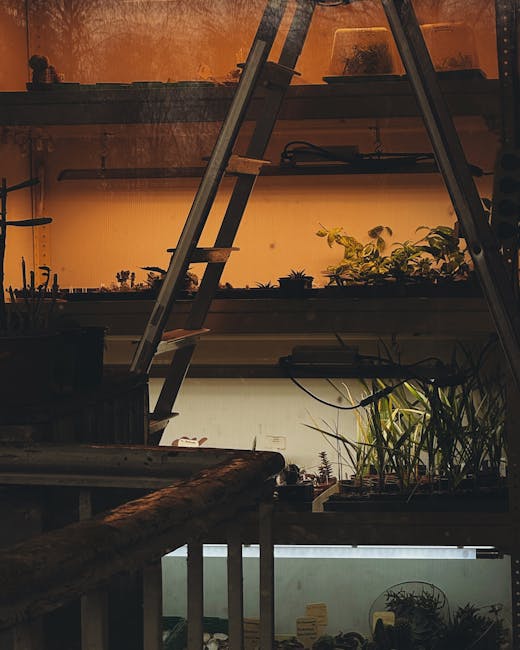 Discover the Joy of Urban Planting: Top Indoor Gardening Techniques