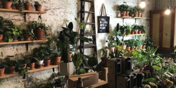 Transform Your Small Room into a Green Haven with Space-Saving Indoor Gardening