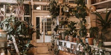 The Ultimate Guide to Indoor Gardening for Beginners