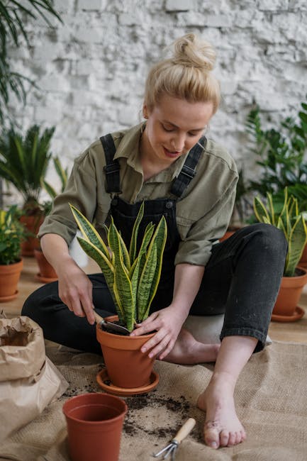 Transform Your Home Office with These Easy-Care Houseplants