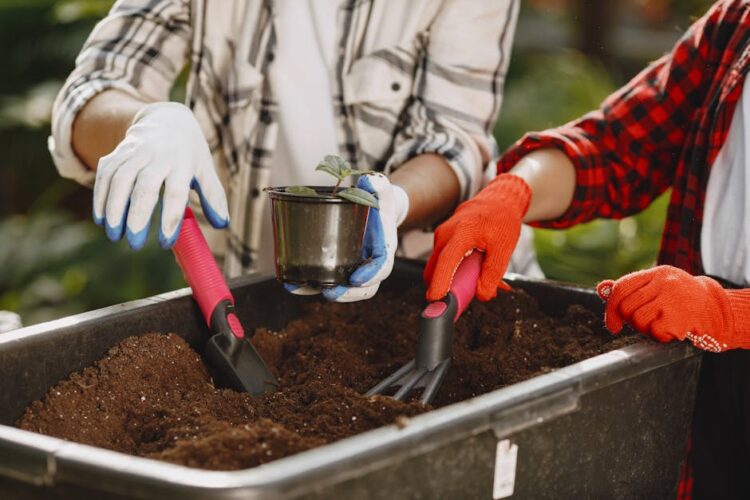 Unlocking the Power of Renewable Resources in Gardening: A Sustainable Guide