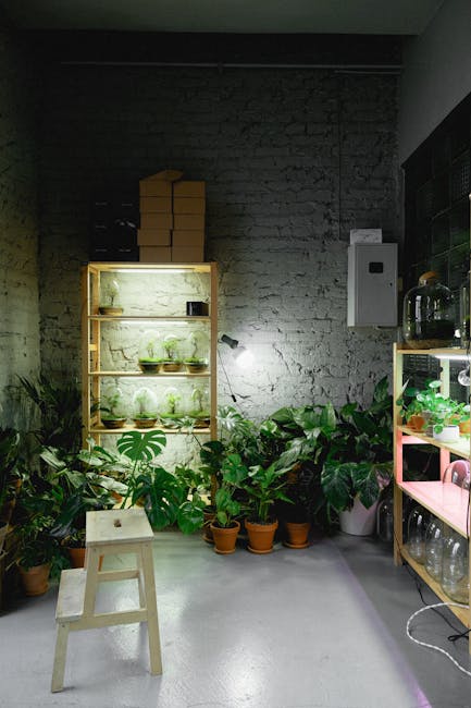 Transform Your Home with These Easy Indoor Gardening Tips