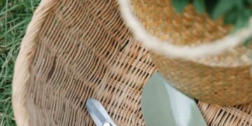 Unlocking Efficiency: How Modern Gardening Machinery Can Transform Your Outdoor Space