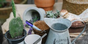 Perfecting Your Yard: Tips for Using Hoes and Rakes Effectively