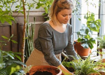 Revitalize Your Living Space with These Indoor Gardening Techniques