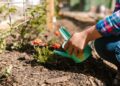 Unlock the Secrets of Eco-Friendly Gardening: A Guide to Sustainable Practices