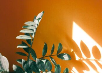 Secrets to Perfect Houseplant Care: Grow Lush