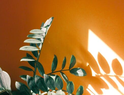 Secrets to Perfect Houseplant Care: Grow Lush